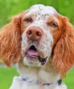 English Setter Face Diamond Paints