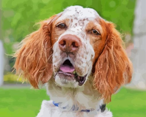 English Setter Face Diamond Paints