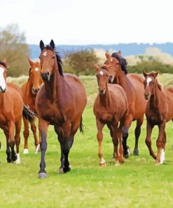 HERD OF HORSES Diamond Paintings