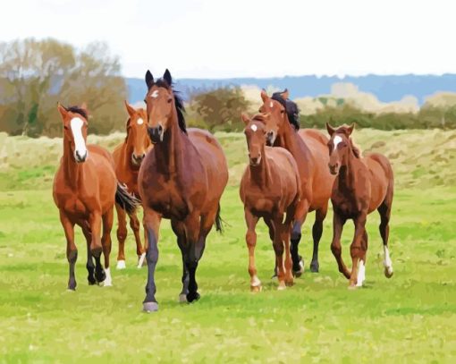 HERD OF HORSES Diamond Paintings