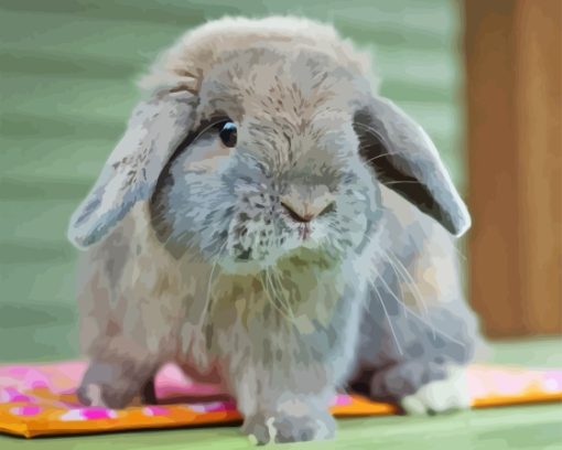 Holland lop rabbit Diamond Paints