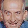 Louis de Funes Smiling Diamond Paintings