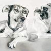 Monochrome Lurcher dogs Diamond By Numbers