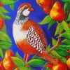 Partridge art Diamond Paintings