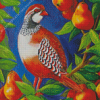 Partridge art Diamond Paintings