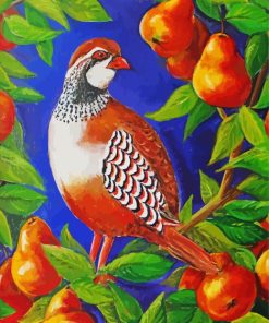 Partridge art Diamond Paintings