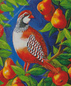 Partridge art Diamond Paintings