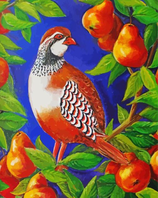 Partridge art Diamond Paintings