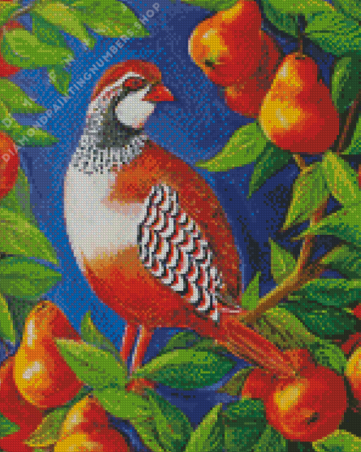 Partridge art Diamond Paintings