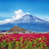 Popocatepetl Stratovolcano Diamond Paintings