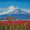 Popocatepetl Stratovolcano Diamond Paintings