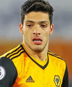 Raul Jimenez football player Diamond Paintings