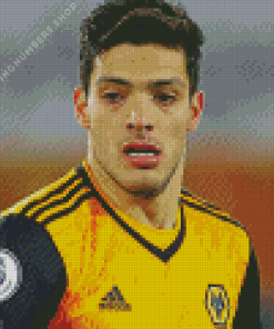 Raul Jimenez football player Diamond Paintings