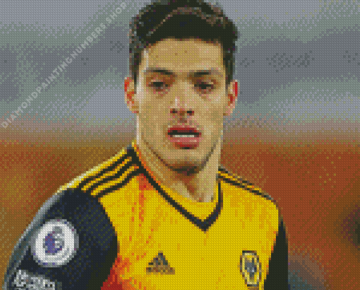 Raul Jimenez football player Diamond Paintings