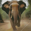 Running elephant Diamond Paintings