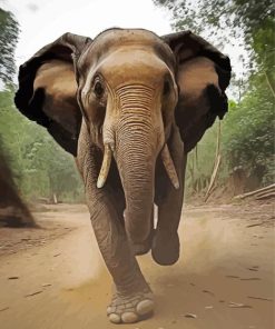 Running elephant Diamond Paintings