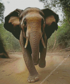 Running elephant Diamond Paintings