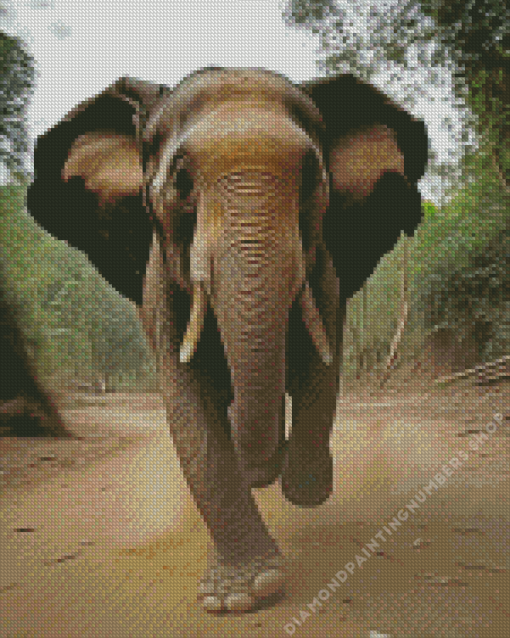 Running elephant Diamond Paintings