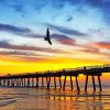 Sunset Over Jacksonville Pier Diamond By Numbers