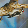 The downy woodpecker Diamond Paintings