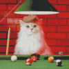 White Cat Snooker Player Diamond Paintings