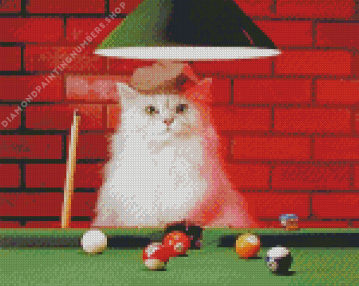 White Cat Snooker Player Diamond Paintings