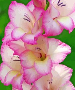 White and Purple Gladiolus Flowers Diamond Paints