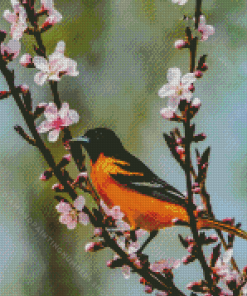 baltimore oriole and blossoms Diamond By Numbers