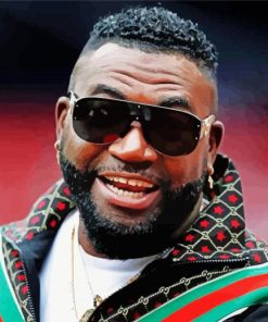 cool Big papi Diamond By Numbers