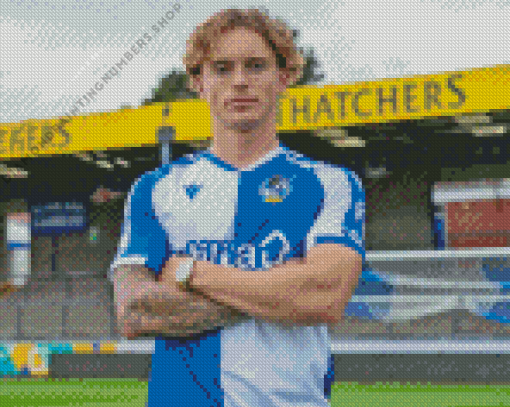 cool Luke McCormick Bristol rovers Diamond Paints