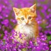 cute Purple flowers cat Diamond Paintings