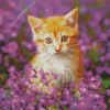 cute Purple flowers cat Diamond Paintings