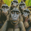 Monkeys Selfie Diamond Painting