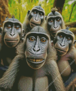 Monkeys Selfie Diamond Painting