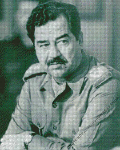 monochrome Saddam Hussein Diamond Paintings