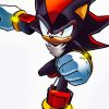 shadow sonic Character Art Diamond By Numbers