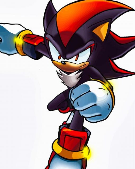 shadow sonic Character Art Diamond By Numbers