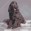 Black goldendoodle dog Diamond Paintings