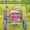 Old massey ferguson tractor In farm Diamond Paintings