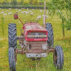 Old massey ferguson tractor In farm Diamond Paintings