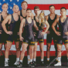 The Iowa wrestling Team Diamond Paintings