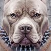 cool dog Diamond Paintings