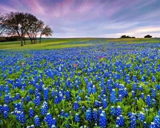 Bluebonnet field Diamond Paintings