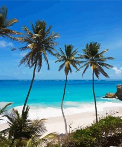 Bottom Bay Beach South East Coast Barbados Diamond Paints