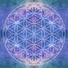 Flower of life Diamond Paintings