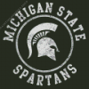 Michigan State Spartans logo Diamond Paints