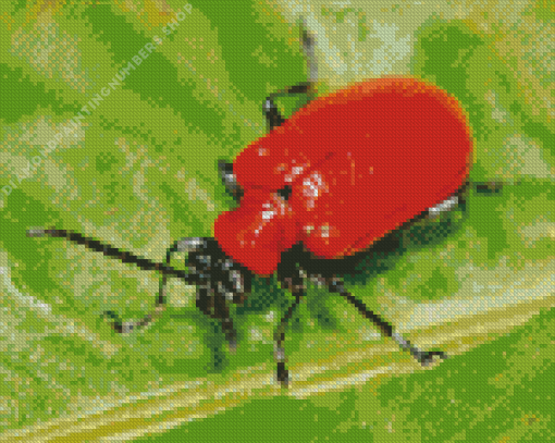 Red beetle Diamond By Numbers