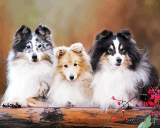 Shetland Sheepdogs Diamond Paintings