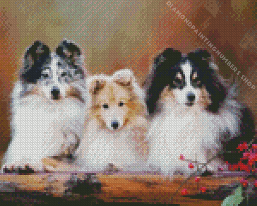 Shetland Sheepdogs Diamond Paintings