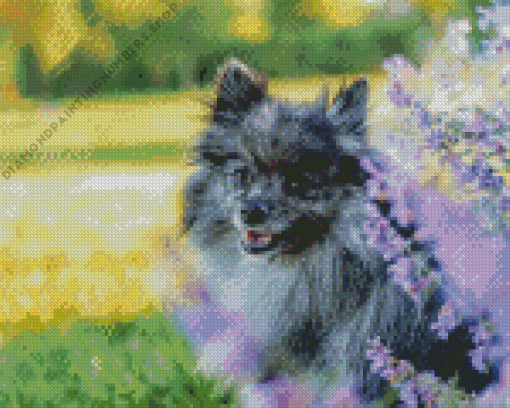 grey pomeranian with purple flowers Diamond Paints